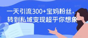 一天引流300+宝妈粉丝,转到私域变现超乎你想象-云创网