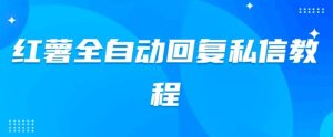 小红薯全自动回复私信脚本,第一时间推送自定义的内容-云创网