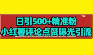 【日引500+】小红薯评论点赞无限曝光引流拆解-云创网