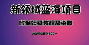 虚拟资源蓝海领域新项目，轻松日入800＋，附保姆级教程及资料-云创网