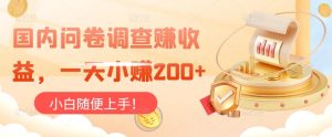 国内问卷调查赚收益，一天小赚200+，小白随便上手-云创网
