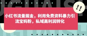 小红书流量掘金,利用免费资料暴力引流宝妈粉,私域高利润转化【揭秘】-云创网