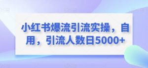小红书爆流引流实操,自用,引流人数日5000+-云创网