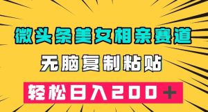 微头条冷门美女相亲赛道，无脑复制粘贴，轻松日入200＋【揭秘】-云创网