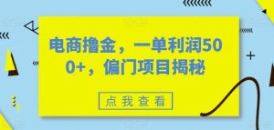 电商撸金,一单利润500+,偏门项目揭秘-云创网