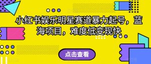 小红书娱乐明星赛道暴力起号,蓝海项目,难度低变现快【揭秘】-云创网