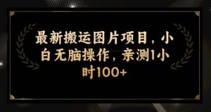 最新搬运图片项目,小白无脑操作,亲测1小时100+-云创网