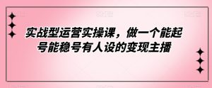 实战型运营实操课，做一个能起号能稳号有人设的变现主播-云创网