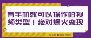 有手机就可以操作的视频类型！绝对爆火变现-云创网