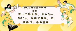最新躺赚项目,靠一个抖音号,日入500+,保姆式教学,无脑操作,暴力变现-云创网