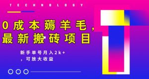 0成本薅羊毛,最新搬砖项目,新手单号月入2k+,可放大操作-云创网