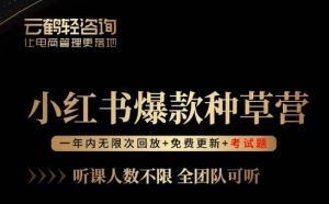 言若非-小红书爆款种草营,最值得入局的站外流量渠道!-云创网