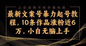 最新文案号暴力起号教程,10条作品涨粉近6万,小白无脑上手-云创网
