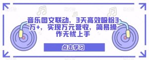 音乐图文联动,3天高效吸粉3万+,实现万元营收,简易操作无忧上手-云创网
