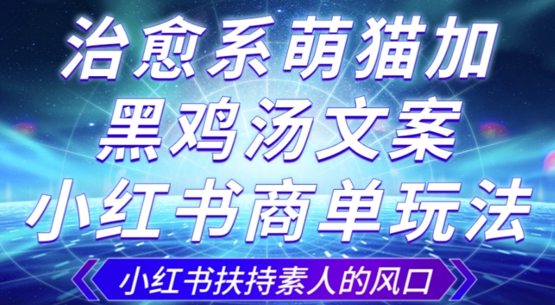 治愈系萌猫加+黑鸡汤文案，小红书商单玩法，3~10天涨到1000粉，一单200左右-云创网