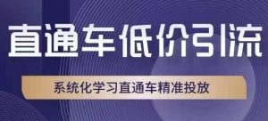直通车低价引流课，系统化学习直通车精准投放-云创网