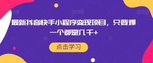 最新抖音快手小程序变现项目,只要爆一个都是几千+-云创网