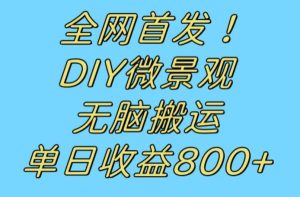 全网首发冷门赛道！DIY微景观，无脑搬运视频，日收益800+【揭秘】-云创网