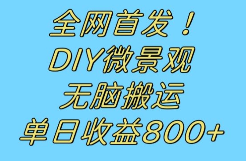 全网首发冷门赛道！DIY微景观，无脑搬运视频，日收益800+【揭秘】-云创网