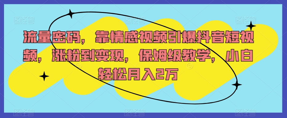 流量密码，靠情感视频引爆抖音短视频，涨粉到变现，保姆级教学，小白轻松月入2万【揭秘】-云创网