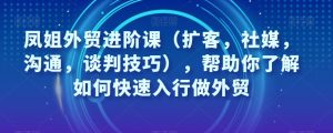 凤姐外贸进阶课(扩客,社媒,沟通,谈判技巧),帮助你了解如何快速入行做外贸-云创网