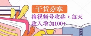 黑马赛道,起号快,流量大,操作简单,撸视频号收益,每天收入增加100+-云创网
