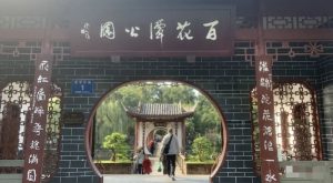 某公众号付费文章，壬戌癸亥月剧本之“锦鲤龙行”，见者好运-云创网