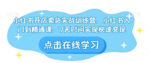小红书开店卖货实战训练营,小红书入门到精通课,7天时间实现快速变现-云创网
