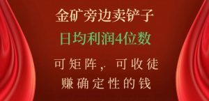 金矿旁边卖铲子,赚确定性的钱,可矩阵,可收徒,日均利润4位数【揭秘】-云创网