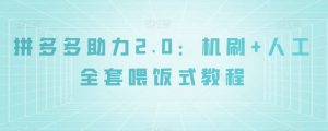 拼多多助力2.0:机刷+人工全套喂饭式教程【揭秘】-云创网