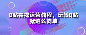 B站实操运营教程,玩转B站就这么简单-云创网