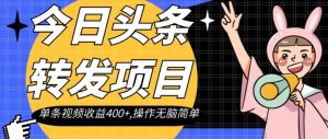 今日头条转发项目，单条视频收益400+,操作无脑简单【揭秘】-云创网