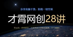 才霄网创28讲第12讲:清闲副业,百度网盘分享密码破解,月入3000+-云创网