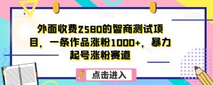 外面收费2580的智商测试项目,一条作品涨粉1000+,暴力起号涨粉赛道【揭秘】-云创网