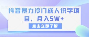 抖音暴力冷门成人识字项目,月入5W+【揭秘】-云创网