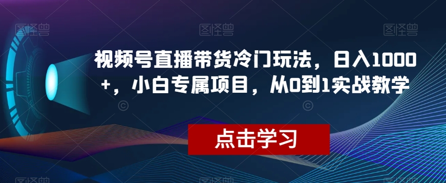 视频号直播带货冷门玩法，日入1000+，小白专属项目，从0到1实战教学【揭秘】-云创网