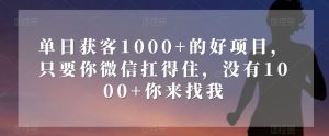 单日获客1000+的好项目，只要你微信扛得住，没有1000+你来找我【揭秘】-云创网