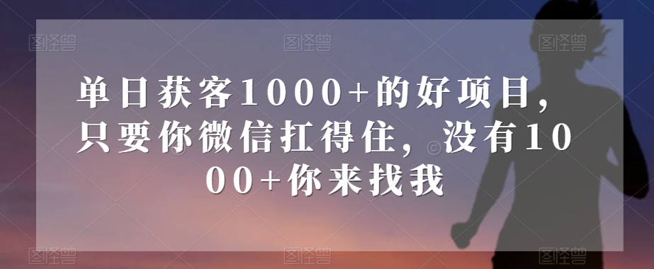 单日获客1000+的好项目，只要你微信扛得住，没有1000+你来找我【揭秘】-云创网