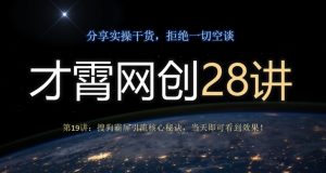 才霄网创28讲第19讲:搜狗霸屏引流核心秘诀,当天即可看到效果!-云创网