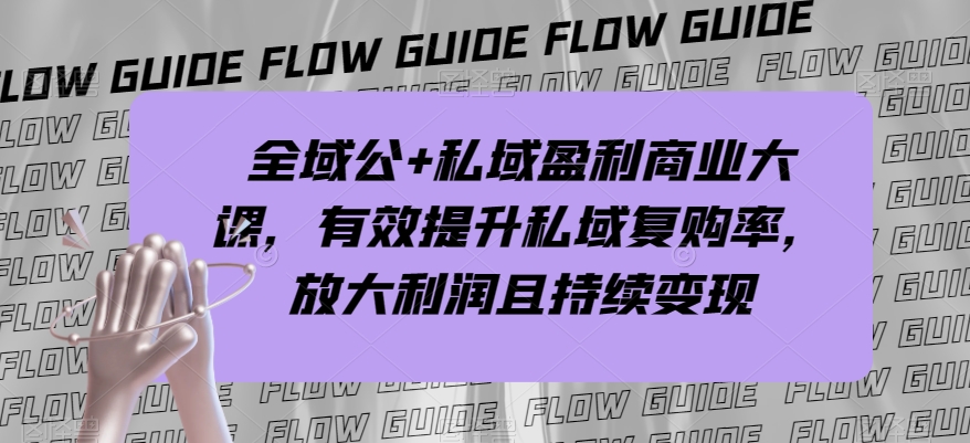 全域公+私域盈利商业大课，有效提升私域复购率，放大利润且持续变现-云创网