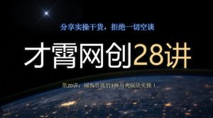 才霄网创28讲第20讲：闲鱼引流的3种另类玩法实操！-云创网