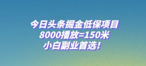 今日头条掘金低保项目，8000播放=150米，小白副业首选【揭秘】-云创网