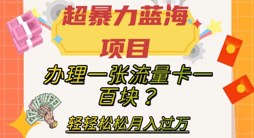 超暴力蓝海项目，办理一张流量卡一百块？轻轻松松月入过万，保姆级教程【揭秘】-云创网