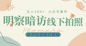 明拍暗拍项目0成本投入日入300+小白可操作保姆式全方位教程-云创网