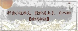 抖音小说推文，轻松易上手，日入300+【赚钱秘诀】-云创网