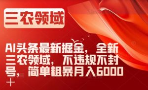 AI头条最新掘金,全新三农领域,不违规不封号,简单粗暴月入6000+【揭秘】-云创网