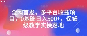 全网首发，多平台收益项目，0基础日入500+，保姆级教学实操落地【揭秘】-云创网