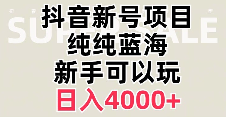 抖音蓝海赛道，必须是新账号，日入4000+【揭秘】-云创网