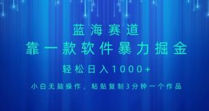 蓝海项目,靠一款软件,暴力掘金日入1000+,小白无脑操作-云创网