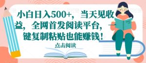 小白日入500+，当天见收益，全网首发阅读平台，一键复制粘贴也能赚钱！-云创网